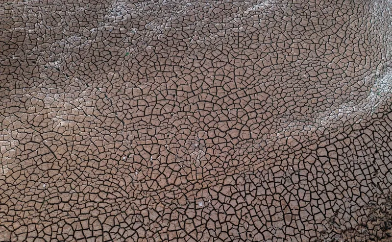 Chasing the Perfect Puddle: Why Casino Hoppers Usually End Up Drier Than When They Started