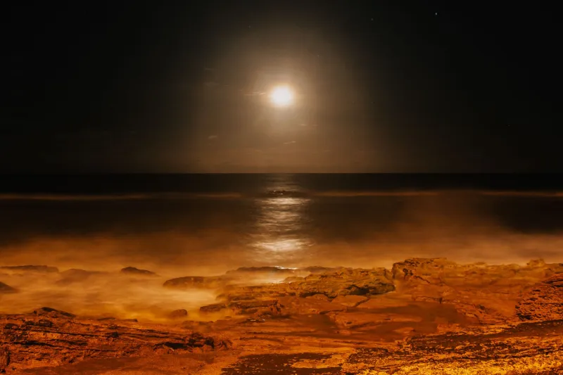 Moon, Mud, and the Tables: How Natural Rhythms Shape the Way Australians Gamble